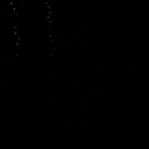 Meet your Posher, Tom